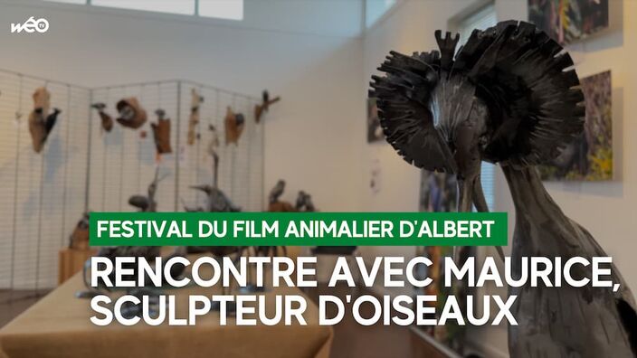 Albert (80) : Rencontre avec Maurice Belvoix, sculpteur d'oiseaux...